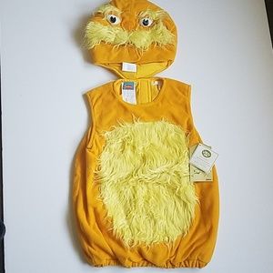 Pottery barn Dr suess the lorax costume